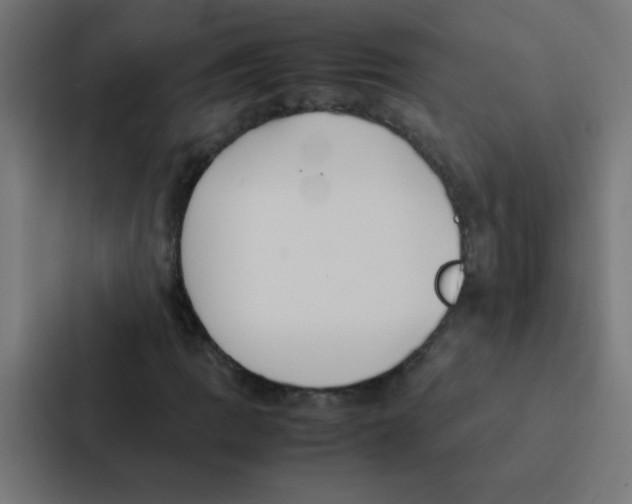 X0000087331109200705112151