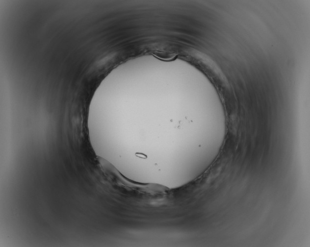 X0000087331111200705112151