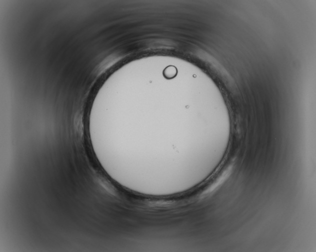 X0000087331113200705112151