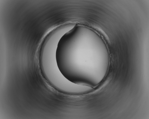 X0000087331114200705112151