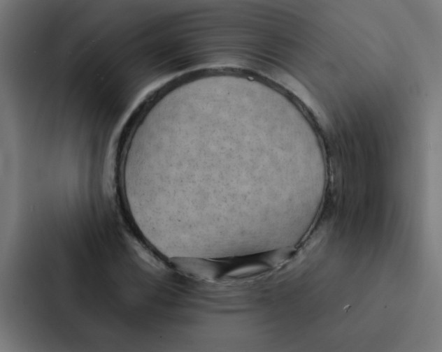 X0000087331116200705112151