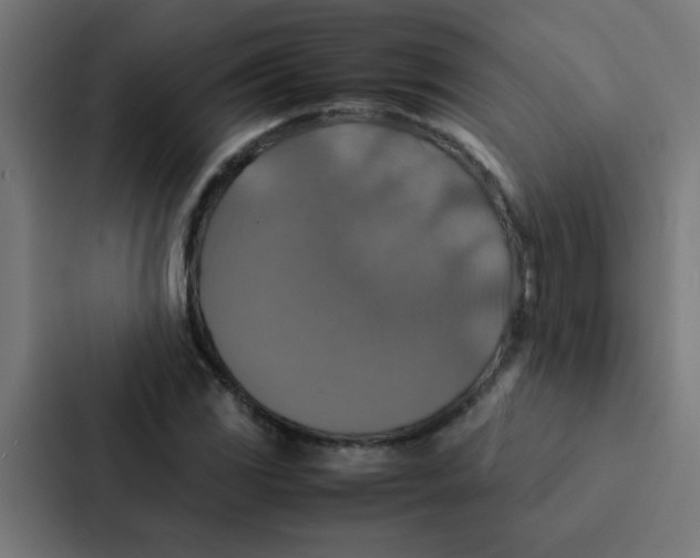 X0000087331117200705112151