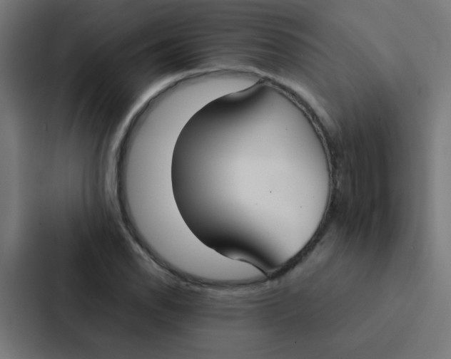 X0000087331118200705112151