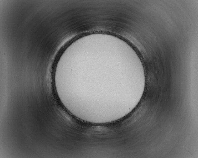 X0000087331119200705112151