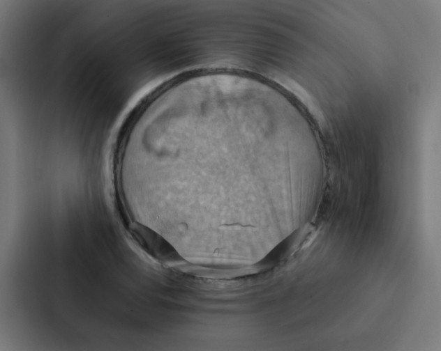 X0000087331120200705112151