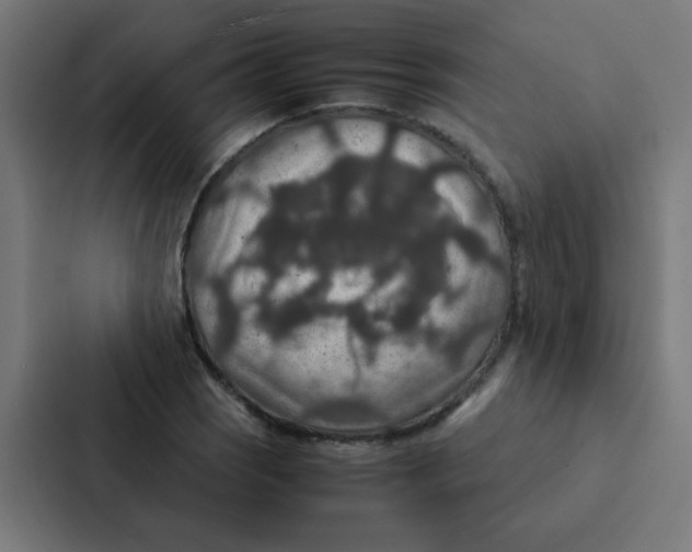 X0000087331121200705112151