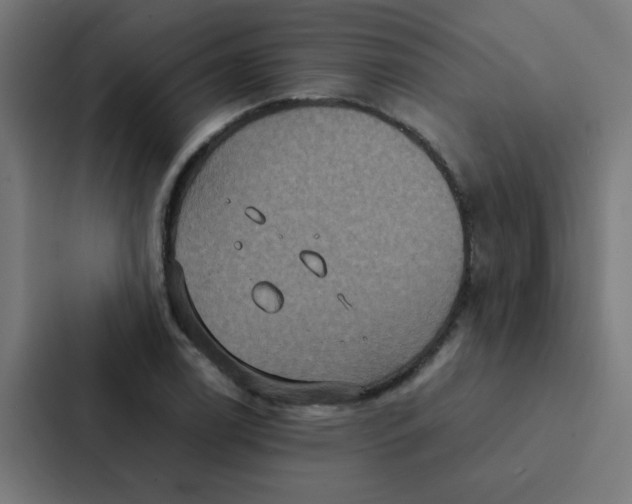 X0000087331122200705112151