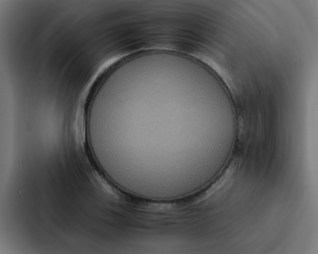 X0000087331123200705112151