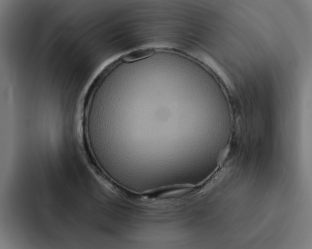X0000087331124200705112151