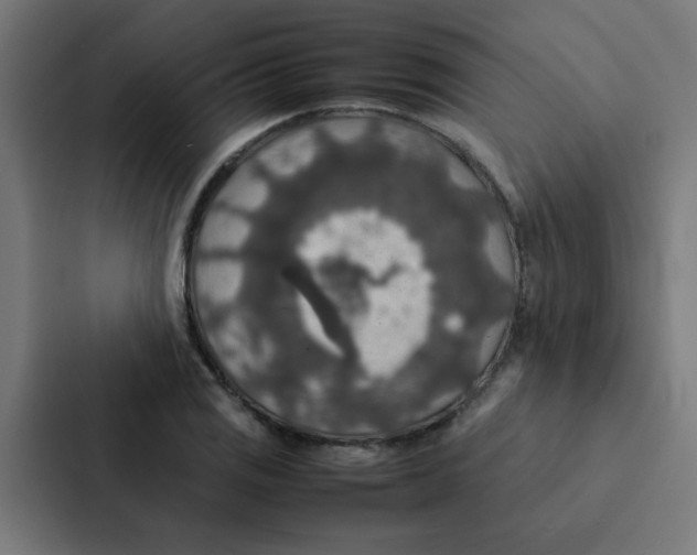 X0000087331125200705112151