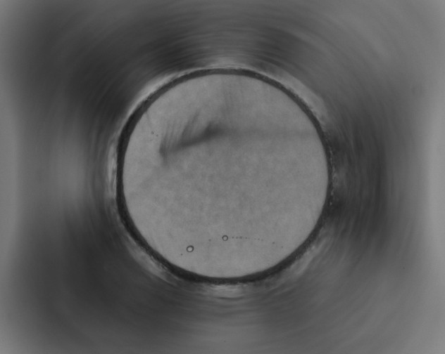 X0000087331126200705112151