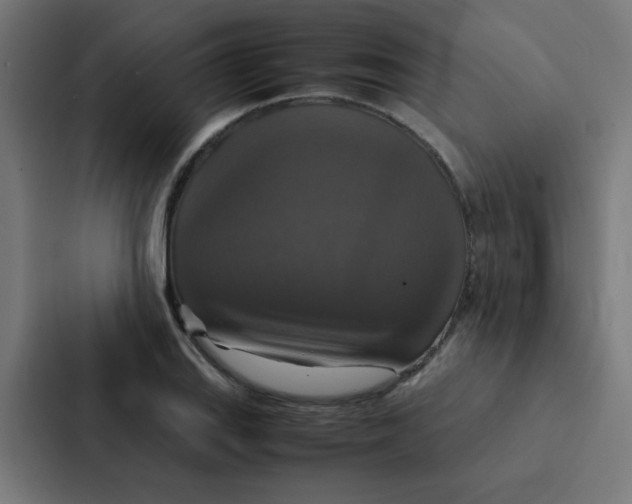 X0000087331127200705112151