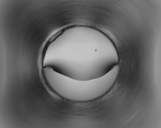 X0000087331128200705112151