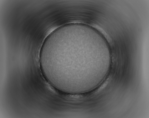 X0000087331129200705112151