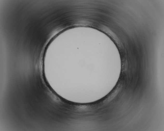 X0000087331130200705112151