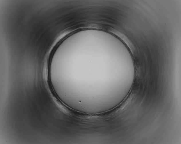 X0000087331131200705112151