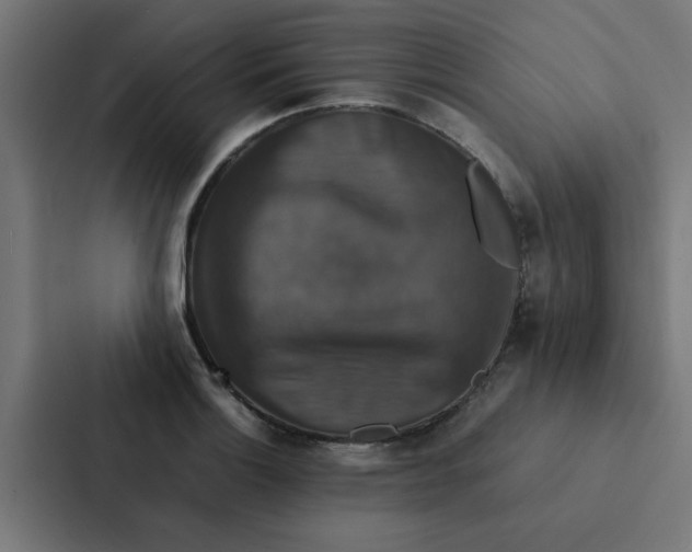 X0000087331132200705112151