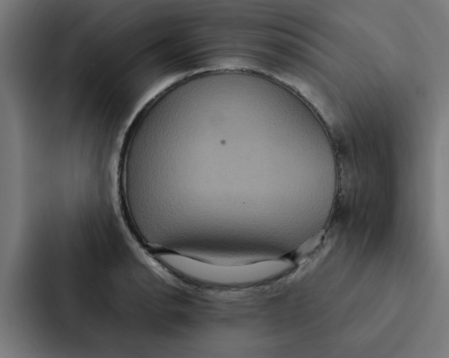 X0000087331134200705112151