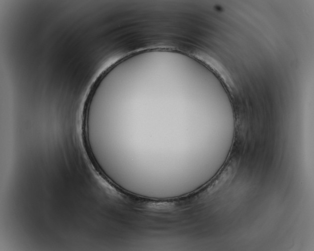 X0000087331135200705112151