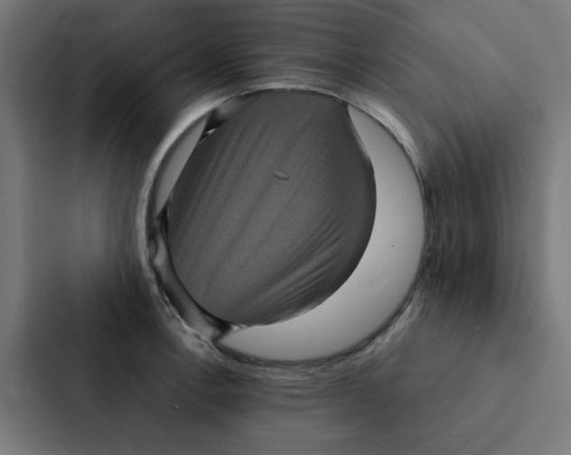 X0000087331138200705112151