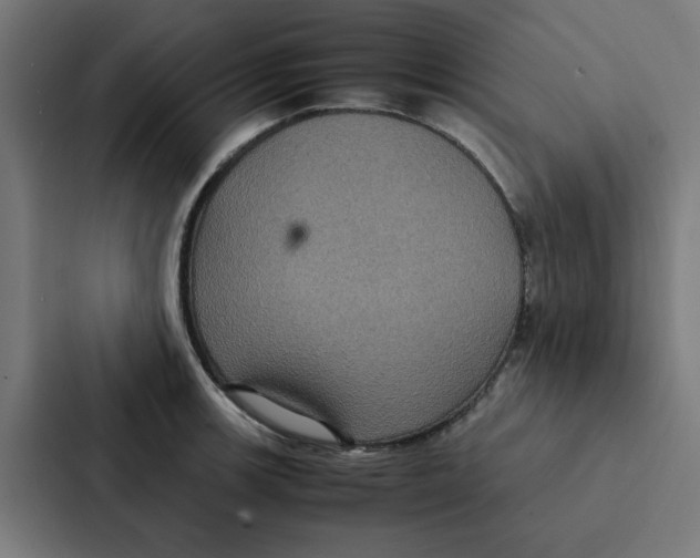 X0000087331139200705112151