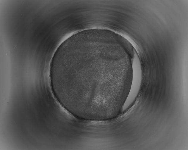 X0000087331142200705112152