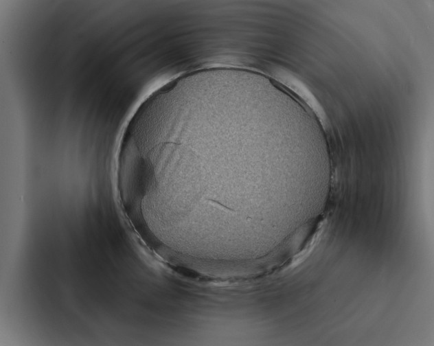 X0000087331146200705112152
