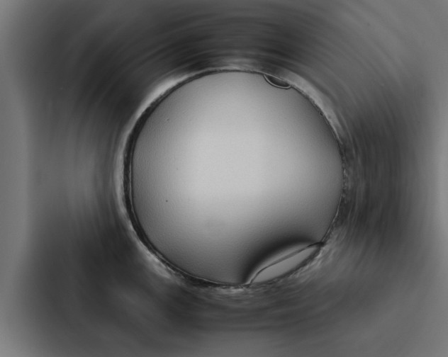X0000087331147200705112152