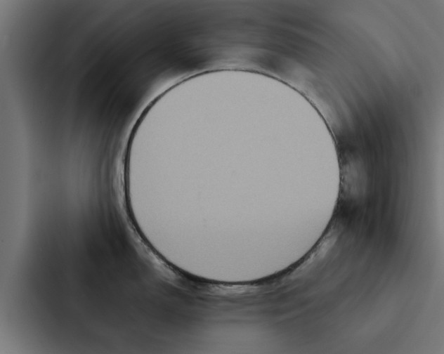 X0000087331150200705112152