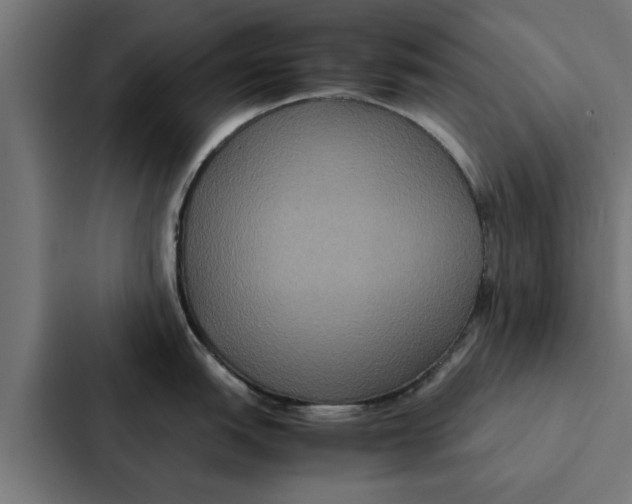X0000087331151200705112152