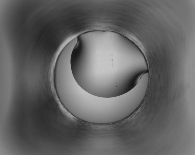 X0000087331152200705112152