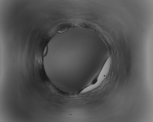 X0000087331155200705112151