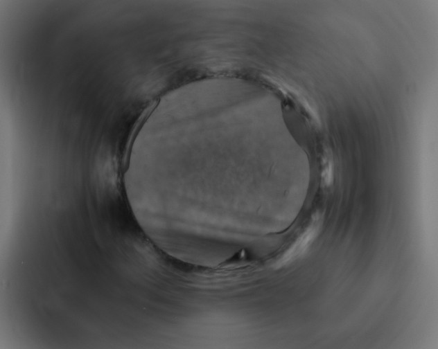 X0000087331156200705112151