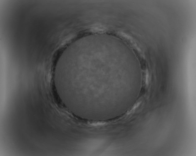 X0000087331157200705112151