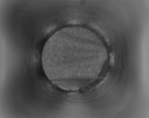 X0000087331158200705112151