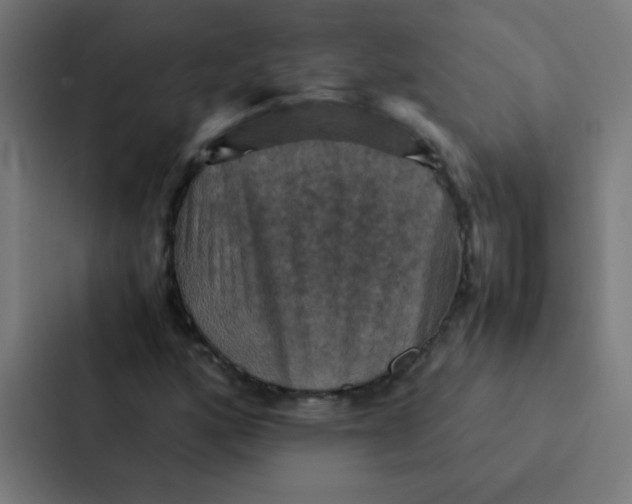 X0000087331160200705112151
