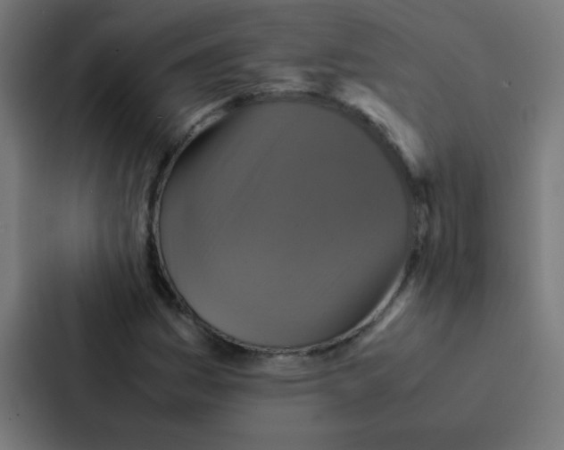 X0000087331161200705112151