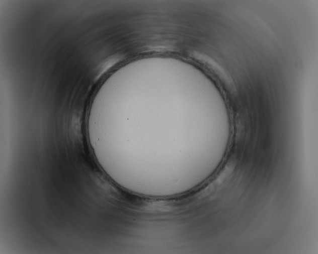 X0000087331162200705112151