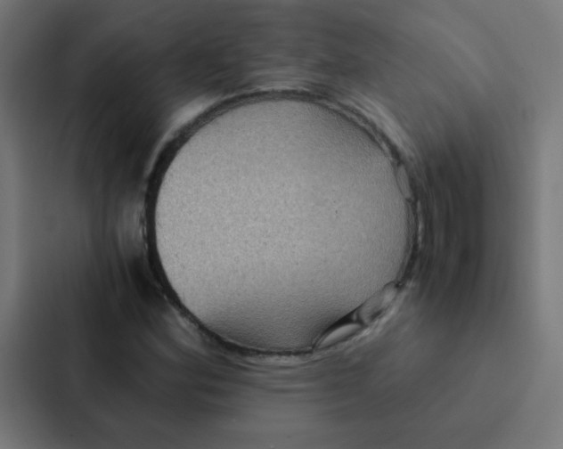 X0000087331164200705112151