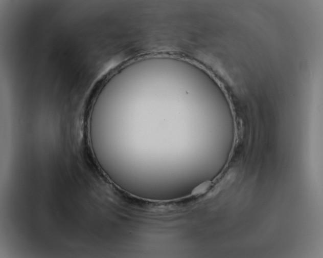 X0000087331165200705112151
