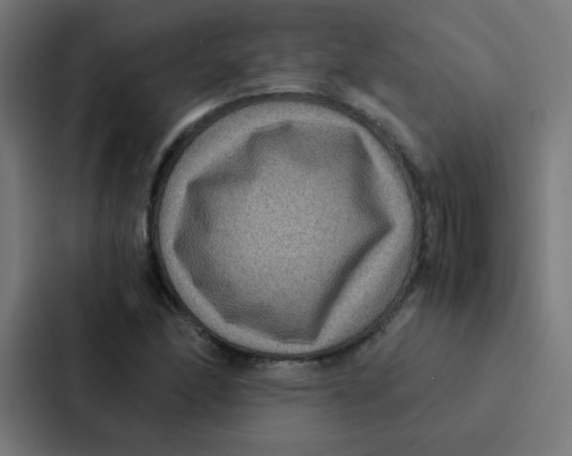 X0000087331166200705112151