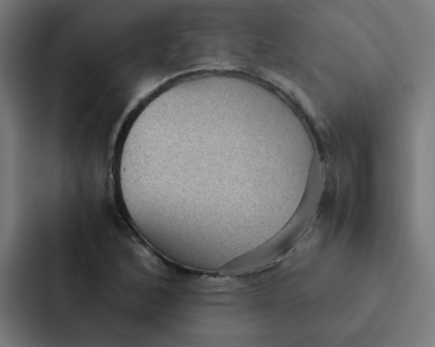 X0000087331168200705112151