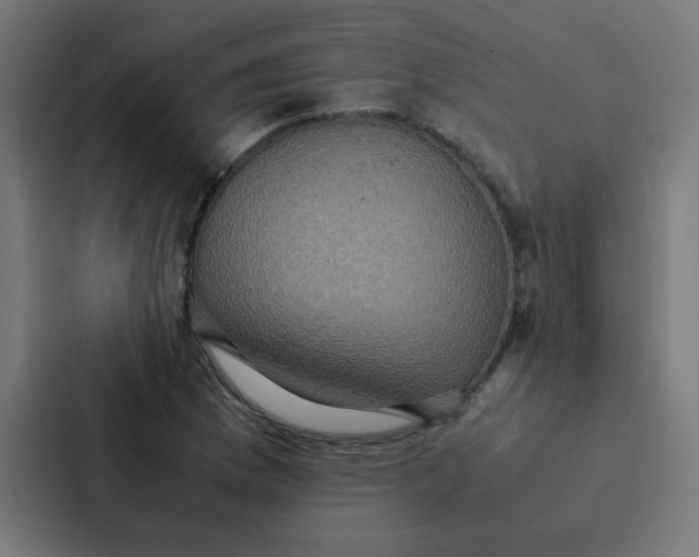 X0000087331169200705112151