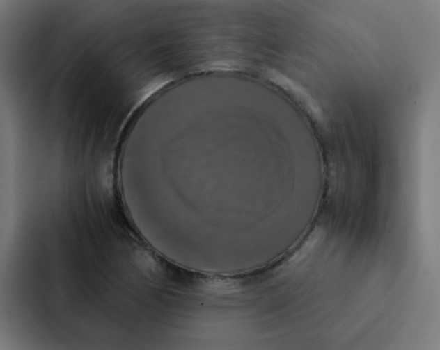 X0000087331170200705112151