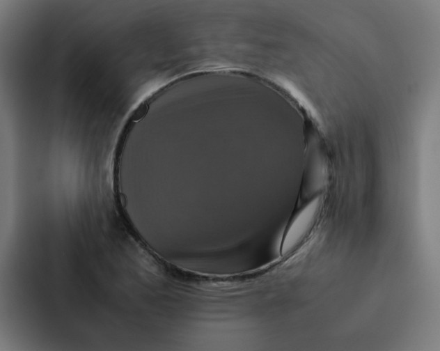 X0000087331173200705112151