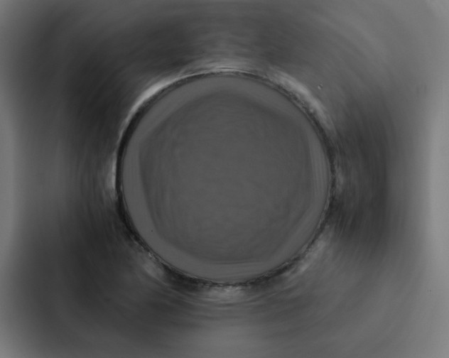 X0000087331174200705112151