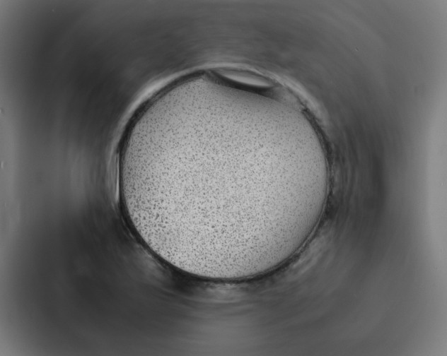 X0000087331175200705112151