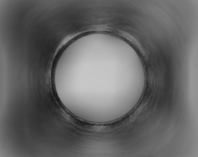 X0000087331176200705112151