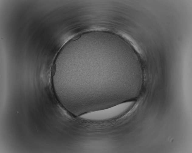 X0000087331177200705112151
