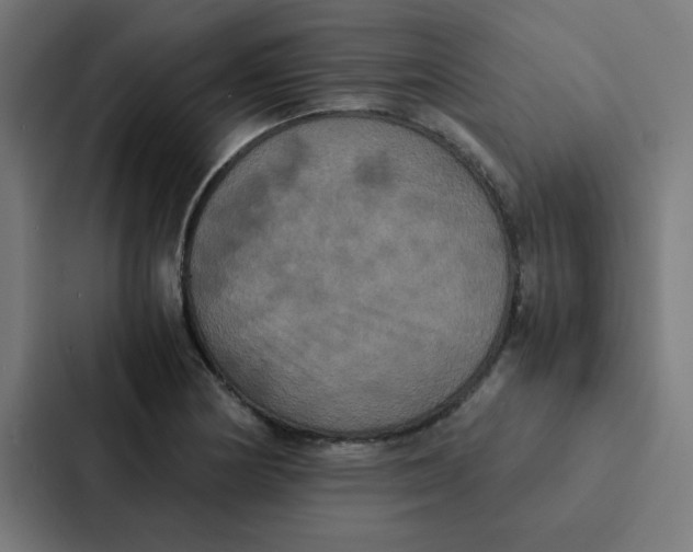 X0000087331178200705112151